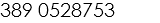 389 0528753 
